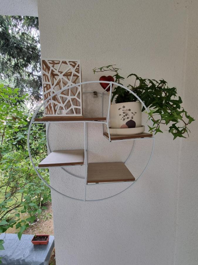 Birchwood Place Apartment